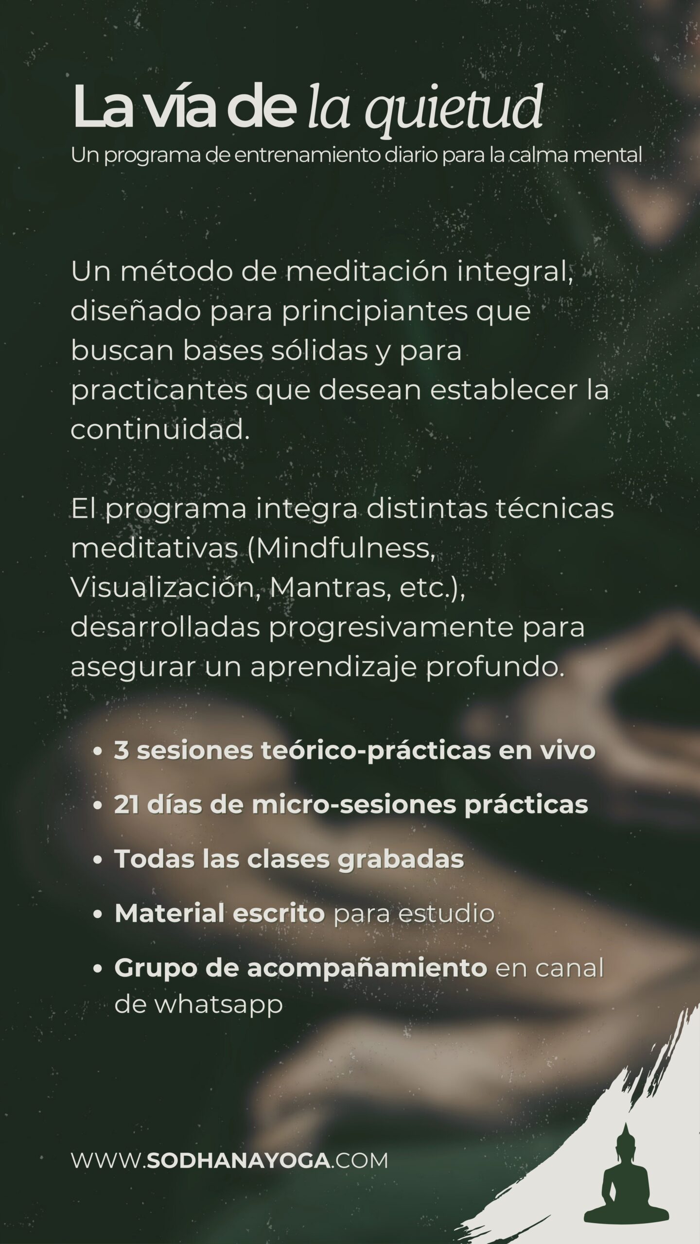 Contraportada de programa de meditación, donde explica es: diseñado para principiantes que buscan bases sólidas y para practicantes que desean establecer la continuidad.